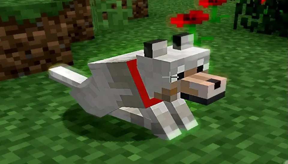 How to get a dog in Minecraft