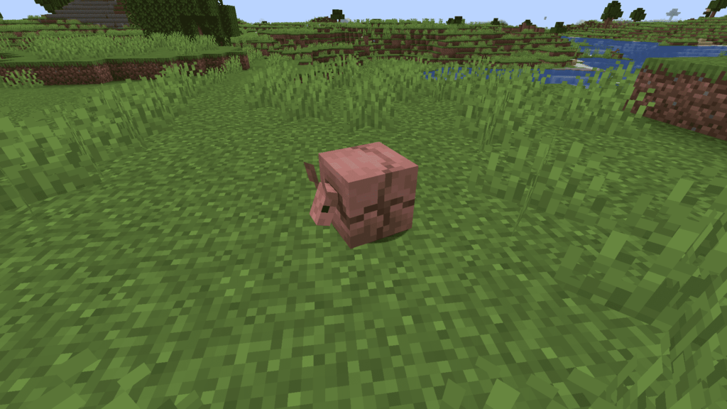 Health and Survival of Armadillos in minecraft