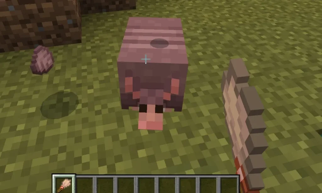 How to Find Minecraft Armadillos