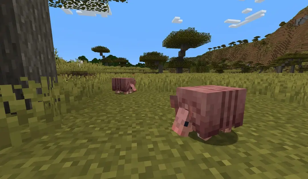 Minecraft Armadillo - Everything You Need to Know